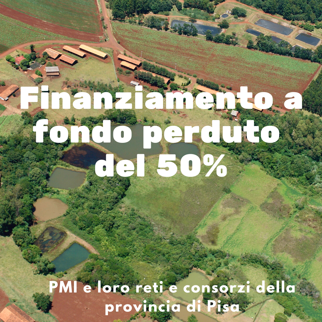 bando su pisa ok