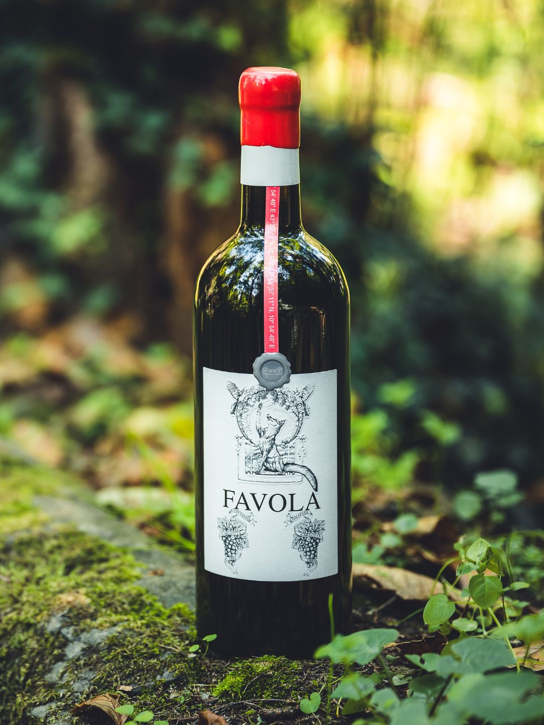Vino-5