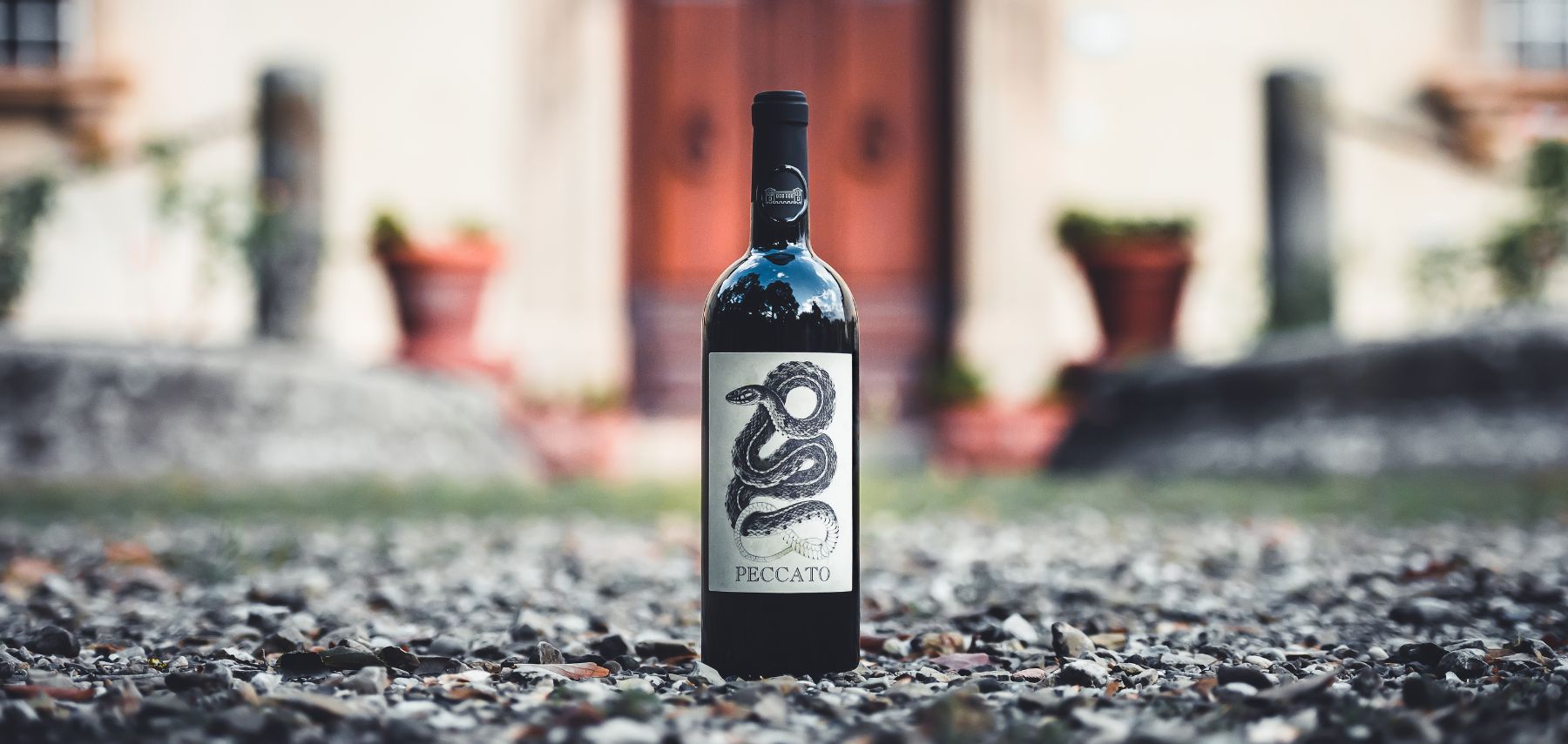 Vino-8