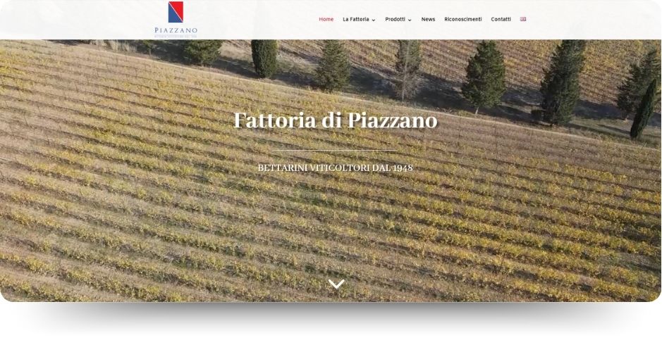 Sito web Fattoria di Piazzano
