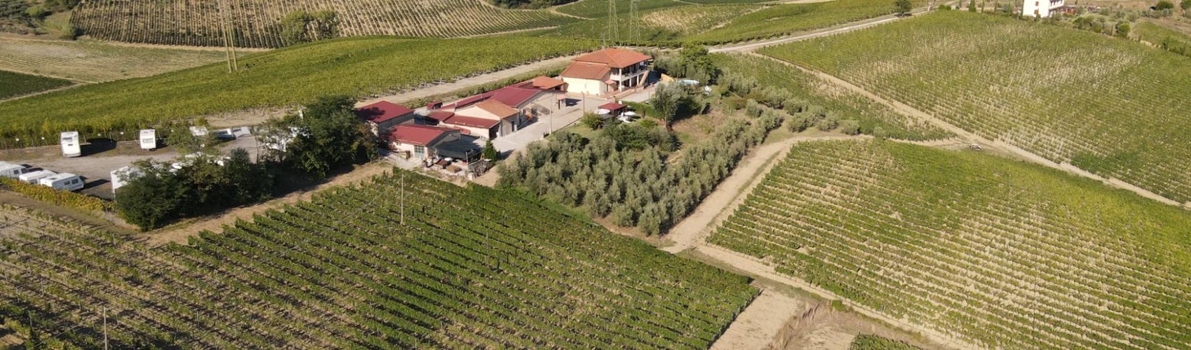 Vinicola palumbo jpg